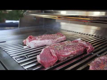 TrueFlame 32 inch 4-Burner Gas Grill